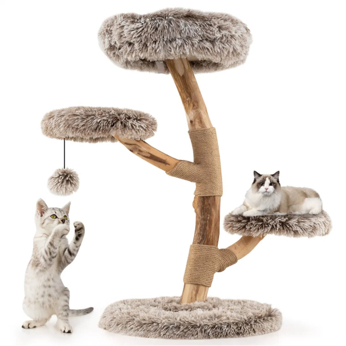 Natural Pear Wood Cat Tree with Plush Levels and Scratching Posts