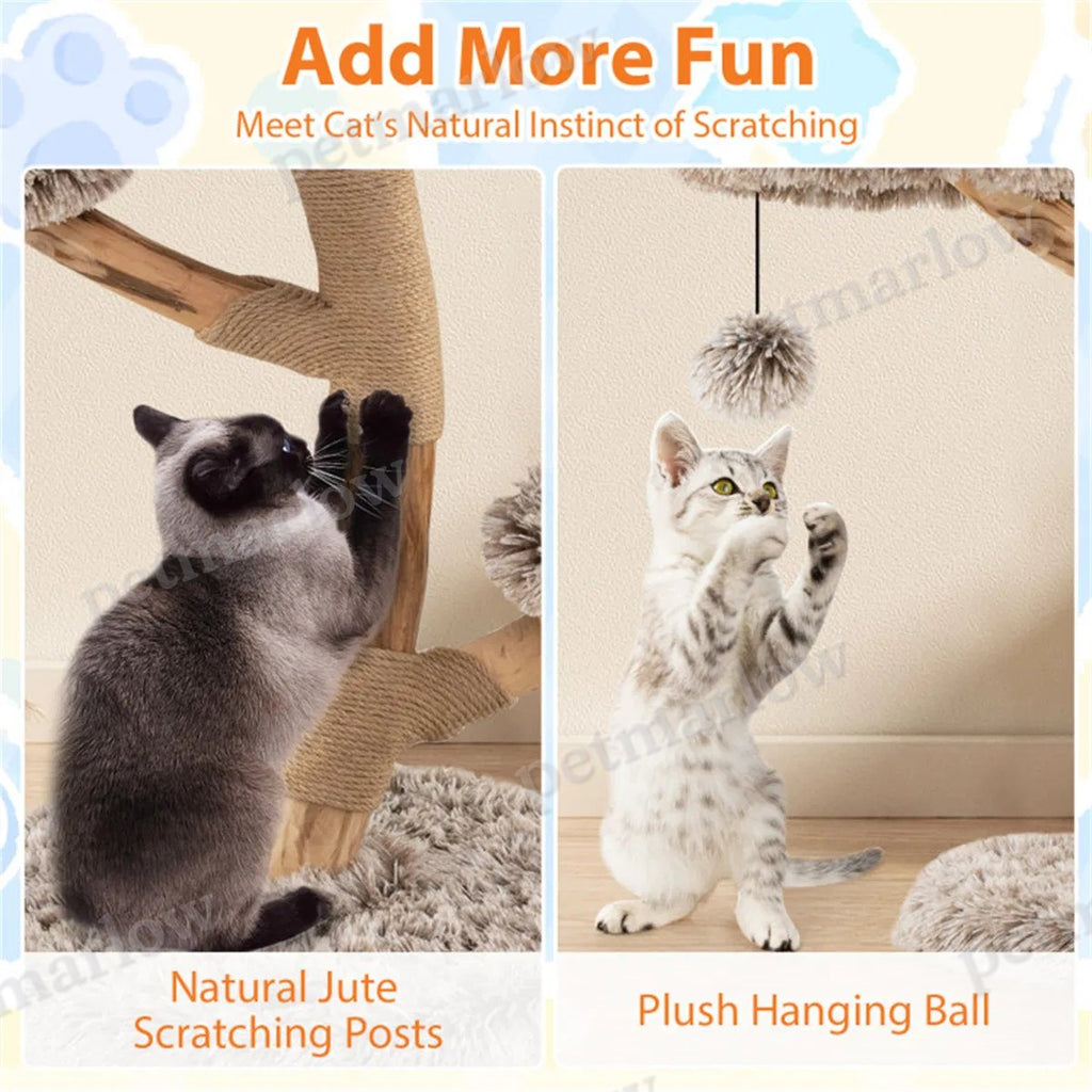 Natural Pear Wood Cat Tree with Plush Levels and Scratching Posts – view 5