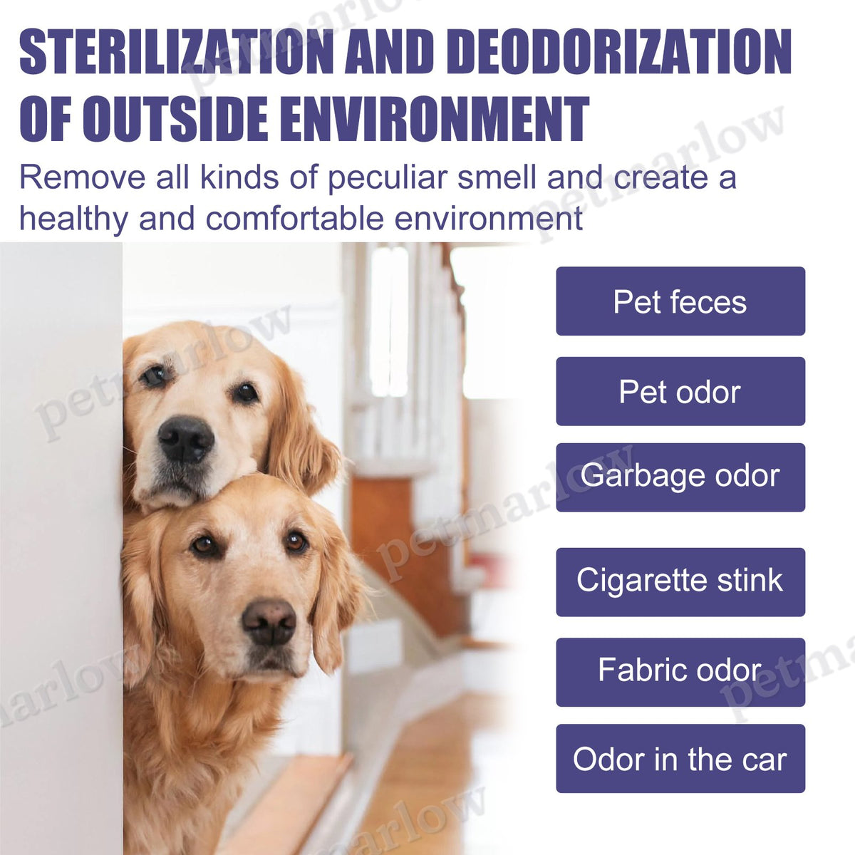 Natural Pet Deodorant Spray for Dogs, 60ml – view 4