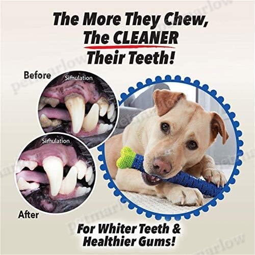Natural Rubber Bite Resistant Dog Toothbrush Toy – view 4