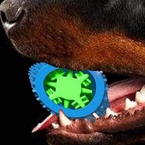 Natural Rubber Bite Resistant Dog Toothbrush Toy – view 8