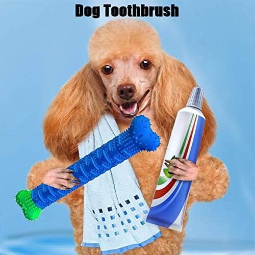 Natural Rubber Bite Resistant Dog Toothbrush Toy – view 9
