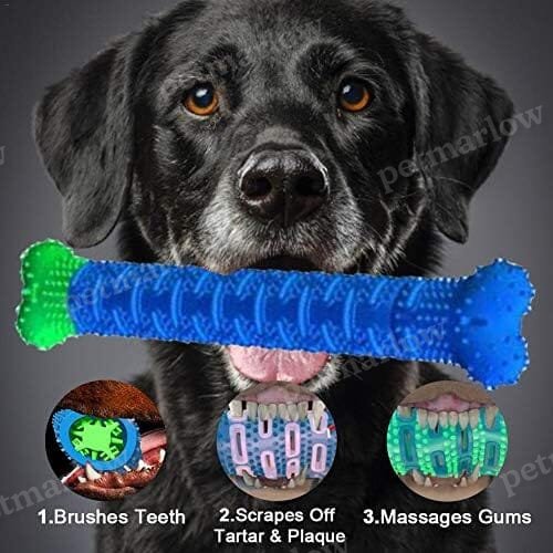 Natural Rubber Bite Resistant Dog Toothbrush Toy – view 5