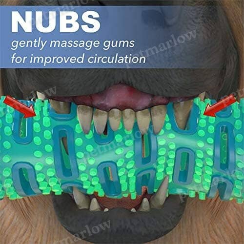 Natural Rubber Bite Resistant Dog Toothbrush Toy – view 6