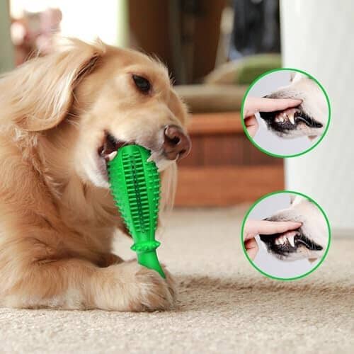 Natural Rubber Tough Hard Dog Interactive Toys Toothbrush for Training and Dental Care
