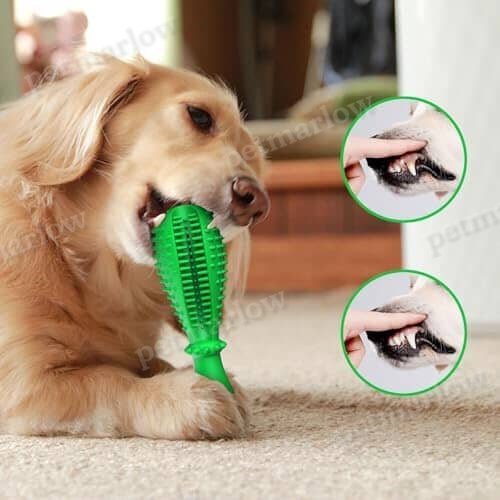 Natural Rubber Tough Hard Dog Interactive Toys Toothbrush for Training and Dental Care – view 2
