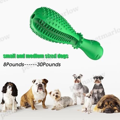 Natural Rubber Tough Hard Dog Interactive Toys Toothbrush for Training and Dental Care – view 6