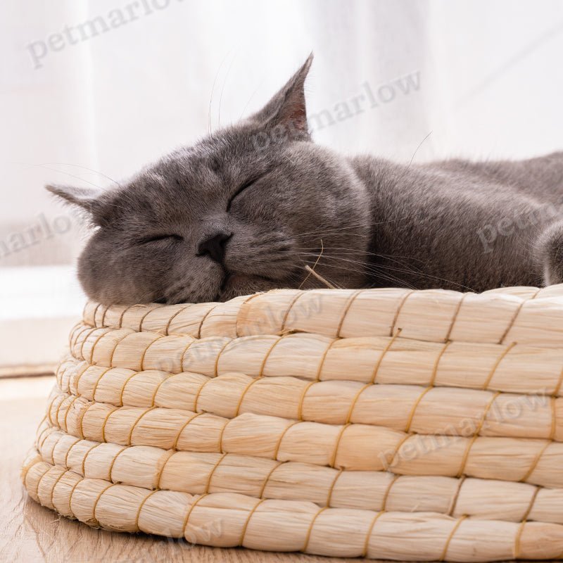 Natural Straw Cat Bed – view 6