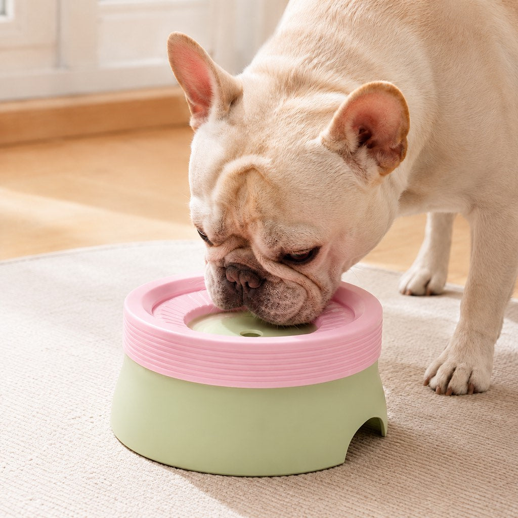 No-Drip Detachable Floating Dog Water Bowl – Green & Pink / Small