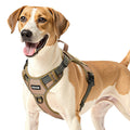 No Pull Tactical Dog Harness – Khaki