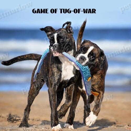 No Stuffing Eel Crinkle Dog Squeaky Toys – view 3