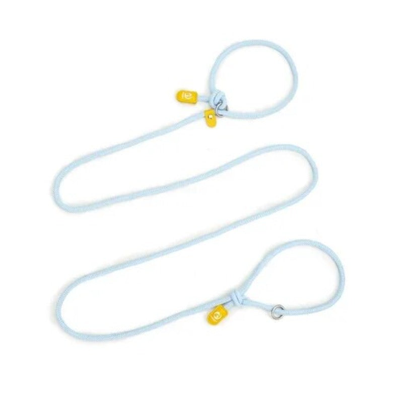 Nylon Pet Dog Leash Dog P Rope Leash – Blue / 0.8*3.35cm