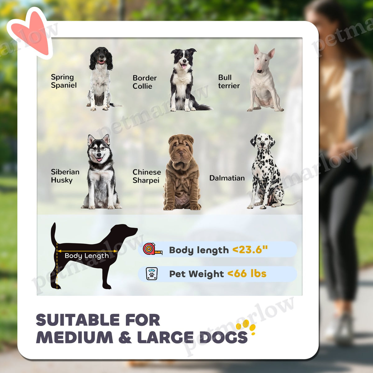One-Click Foldable Dog Stroller for M, L Dogs – view 3