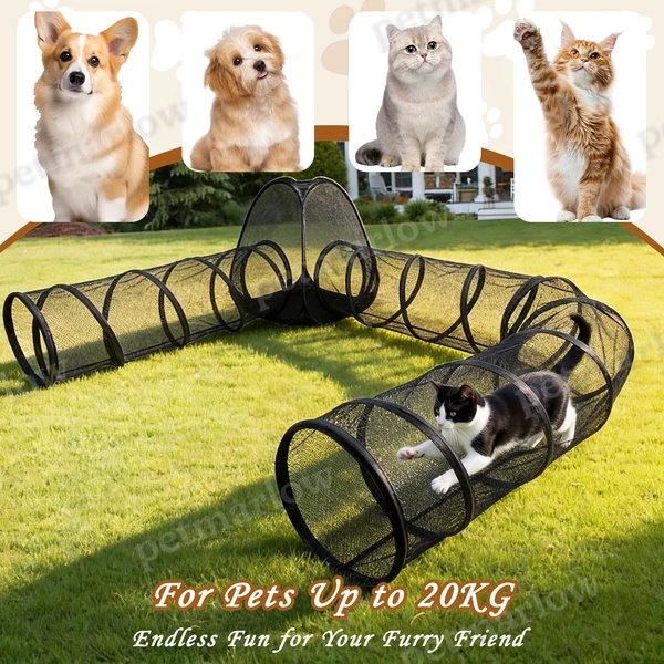 Outdoor Cat Enclosure for Safe Outdoor Play – view 3