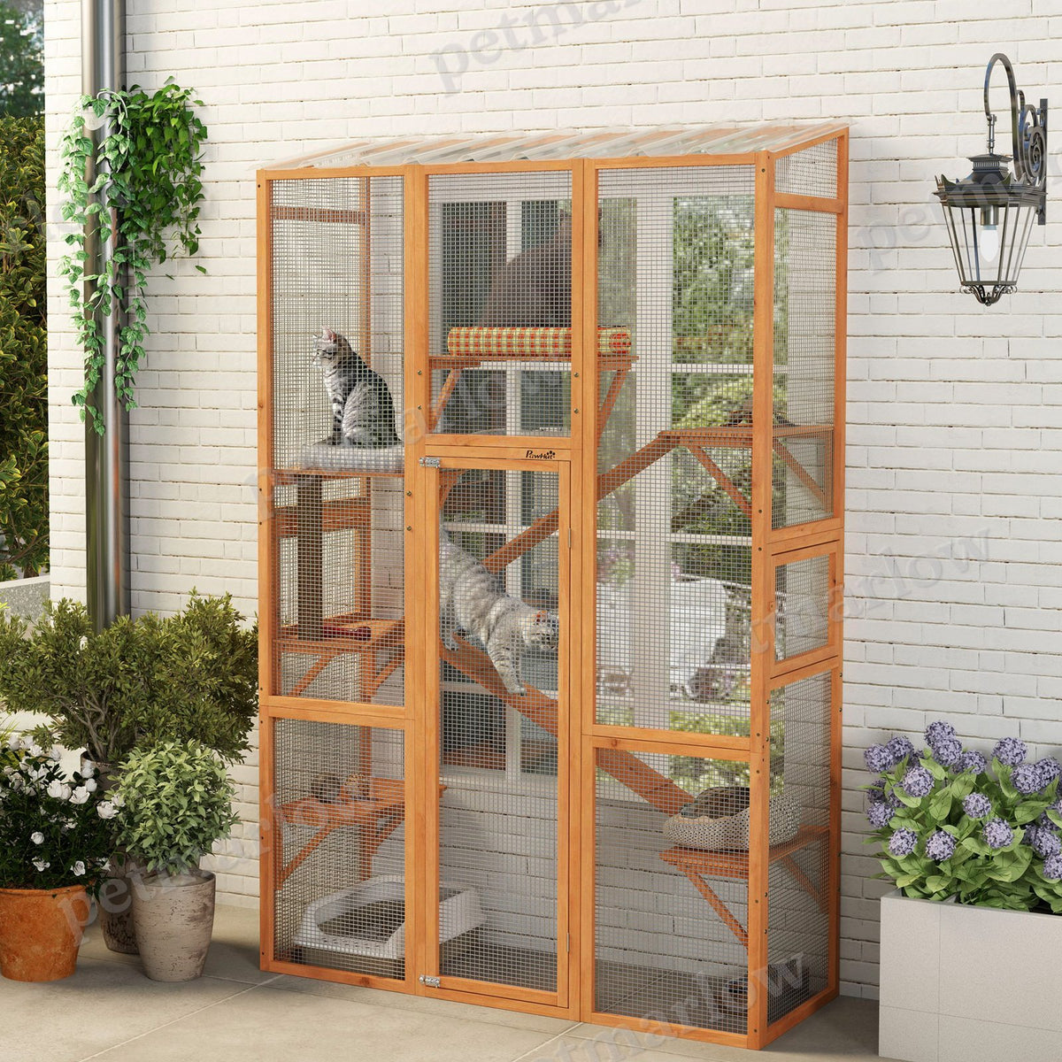 Outdoor Catio Cat Enclosure with Jumping Platforms and Ramps – view 3