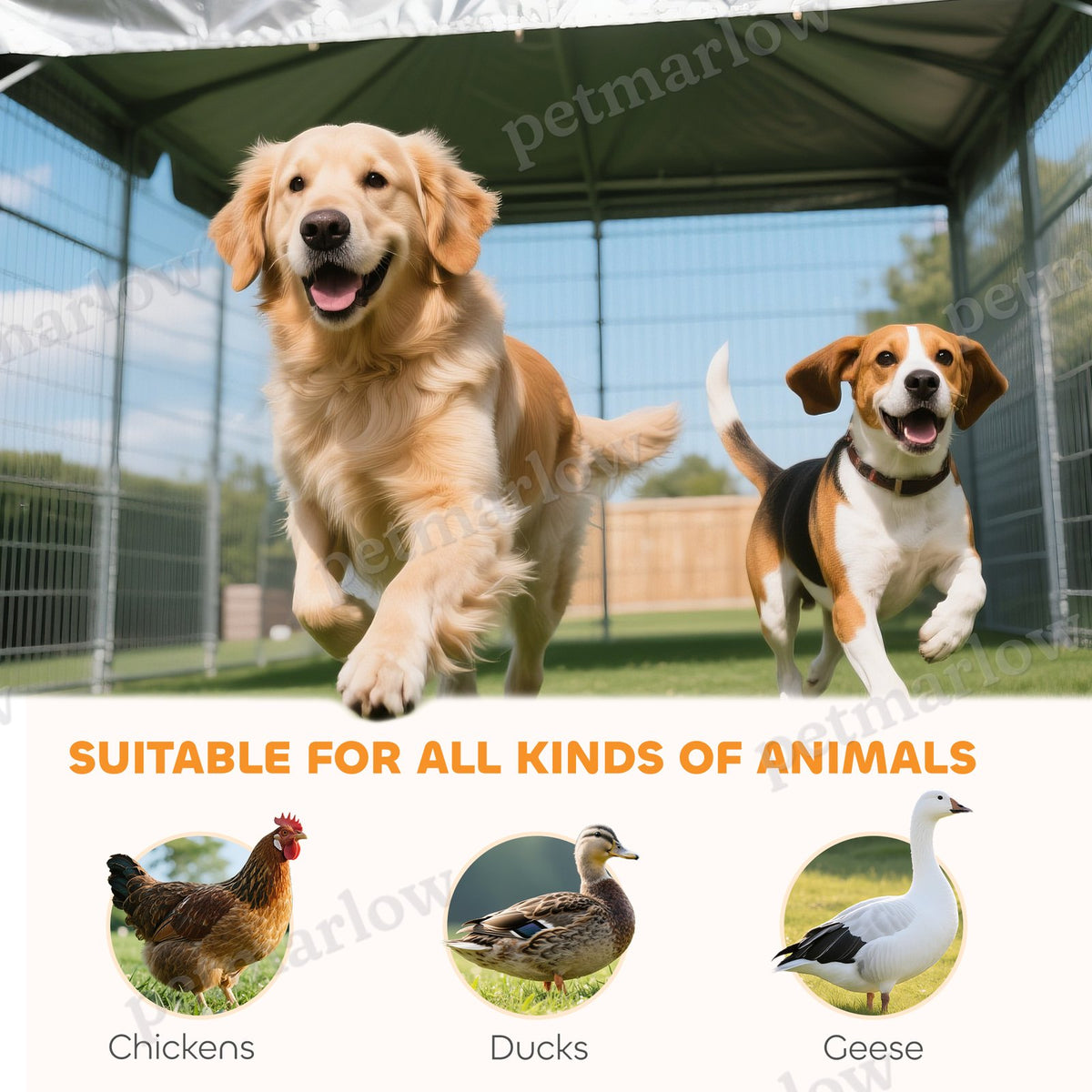 Outdoor Dog Kennel with Adjustable Bowl Rack – view 3