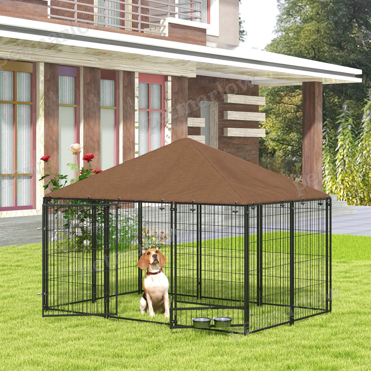 Outdoor Dog Kennel with Canopy for Play and Comfort – view 4
