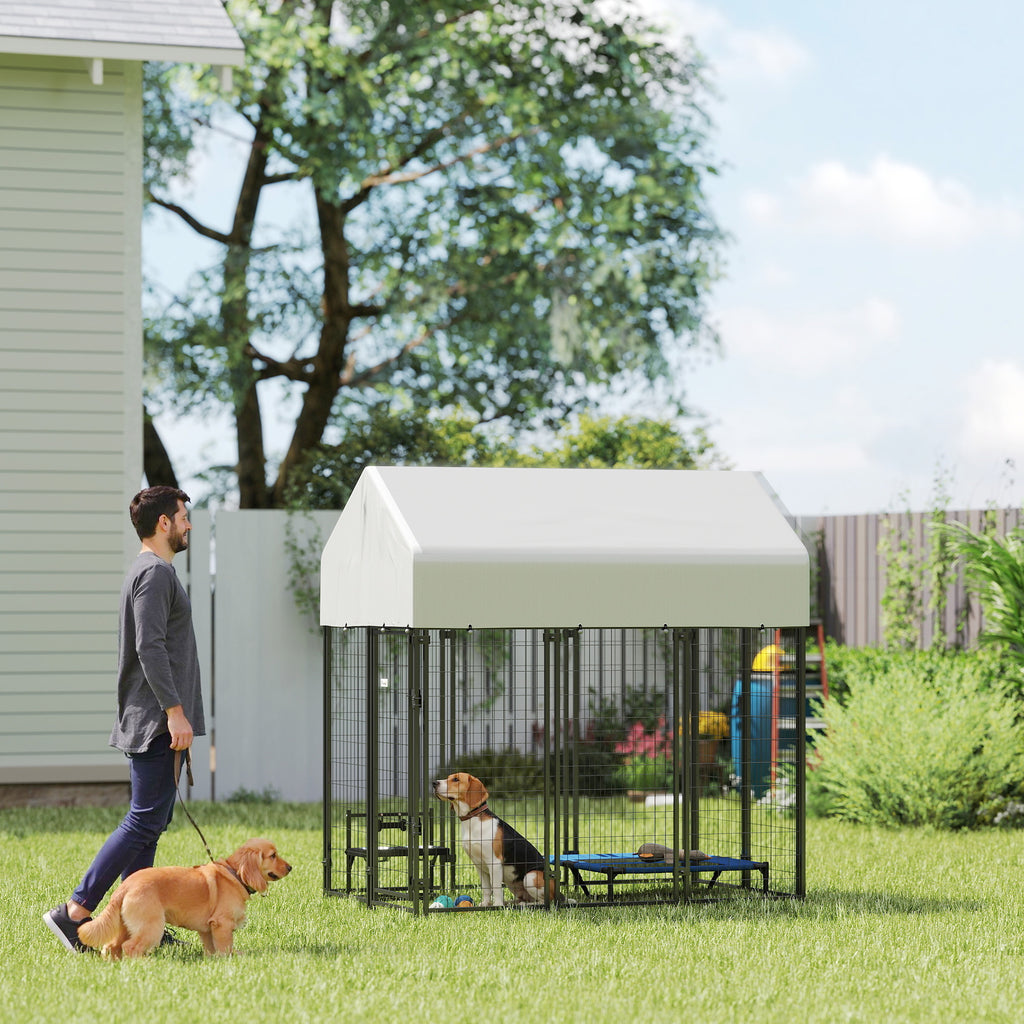 Outdoor Dog Kennel with Roof for Secure Play