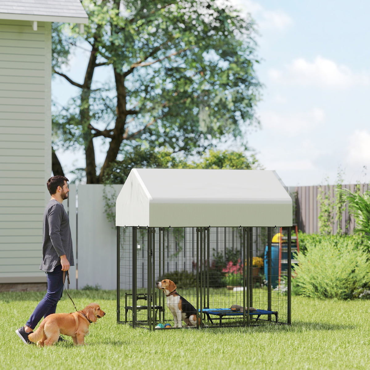 Outdoor Dog Kennel with Roof for Secure Play