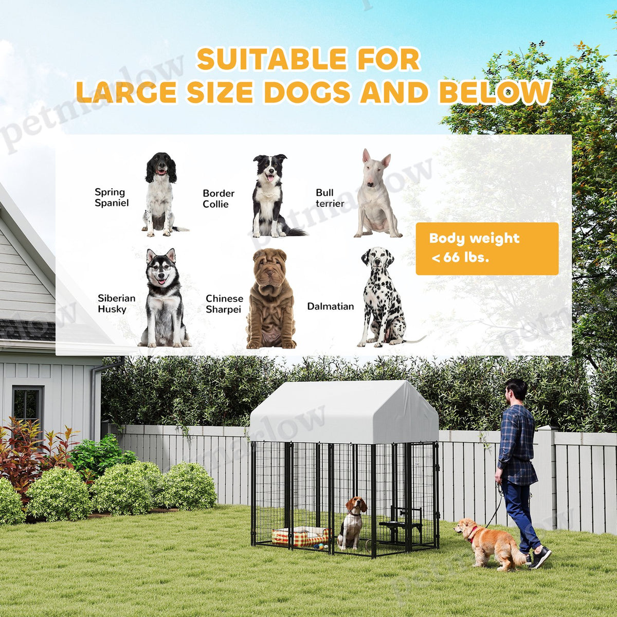 Outdoor Dog Kennel with Roof for Secure Play – view 5