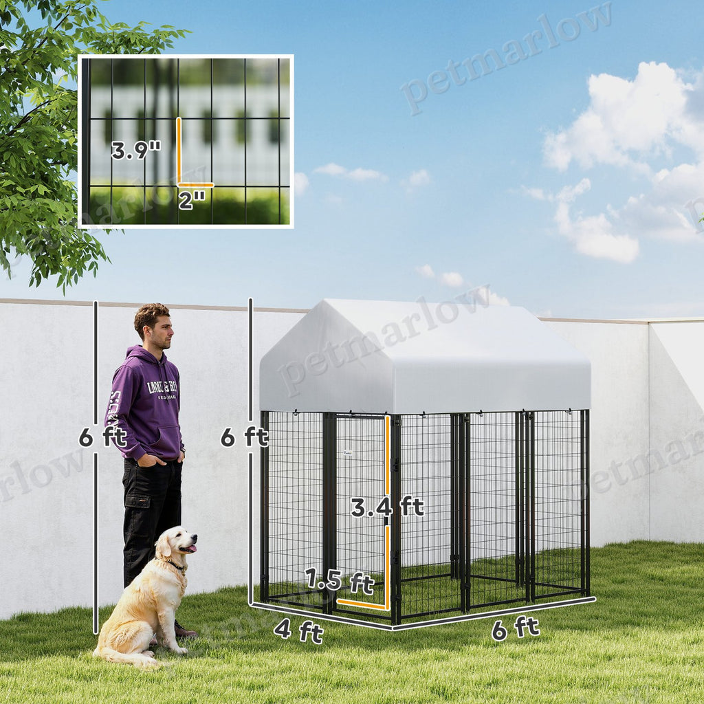 Outdoor Dog Kennel with Roof for Secure Play – view 6