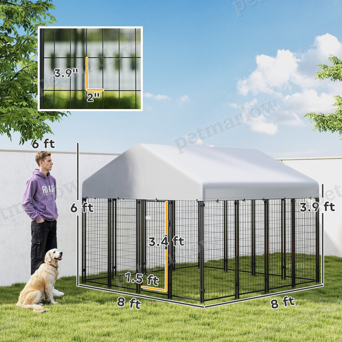 Outdoor Dog Kennel with Roof for Secure Play Area – view 4