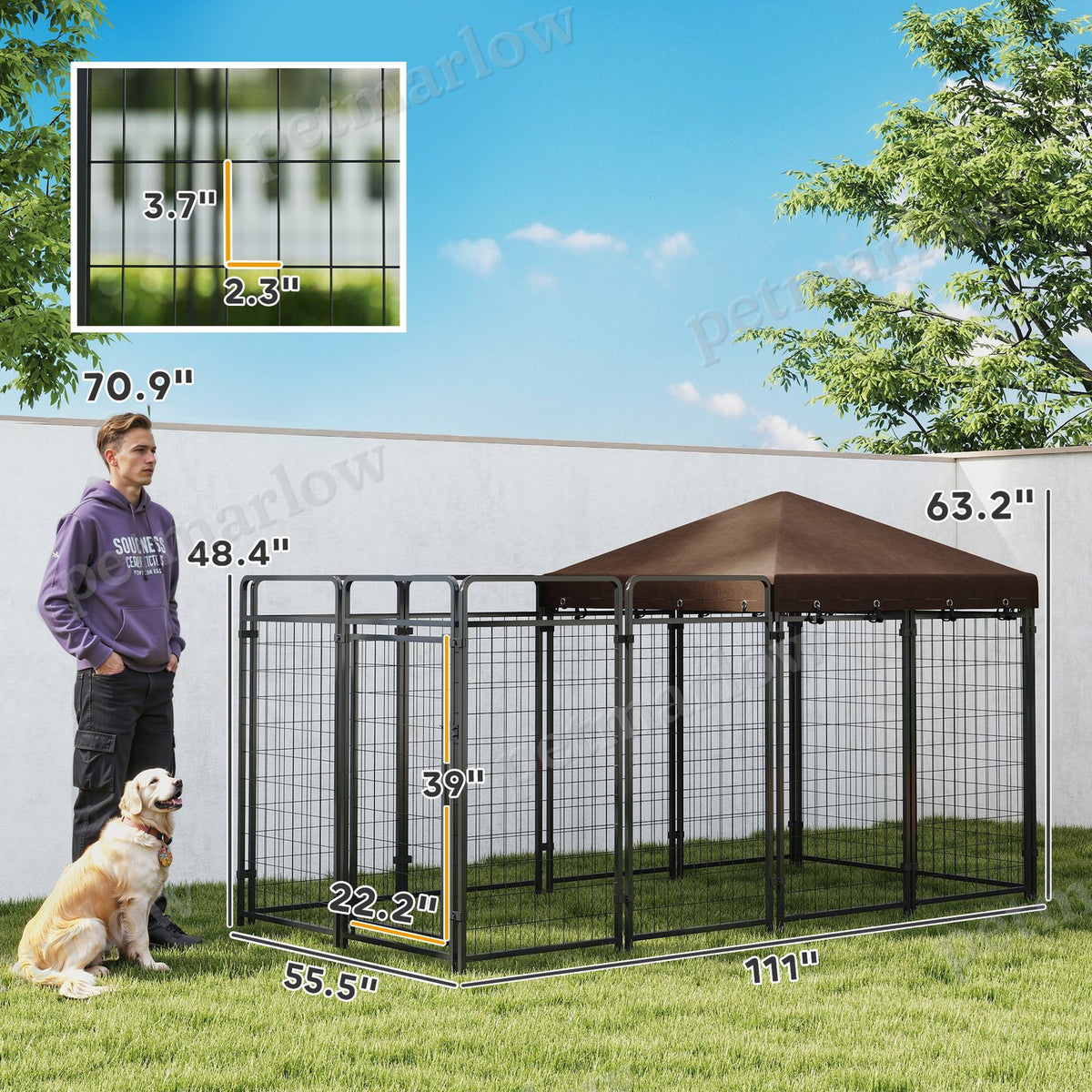 Outdoor Dog Kennel with Waterproof Canopy for Comfort – view 5