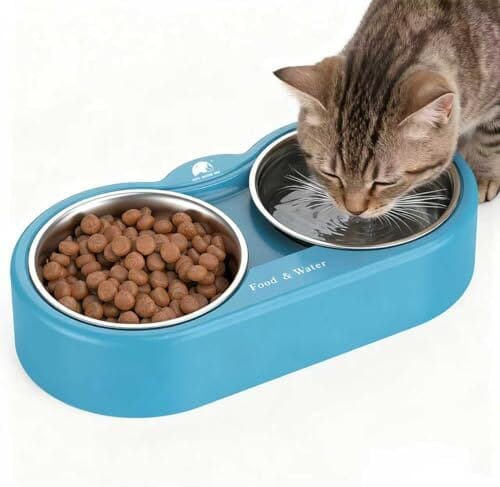 Outdoor Heated Dog Bowl Provides Drinkable Water & Food in Winter