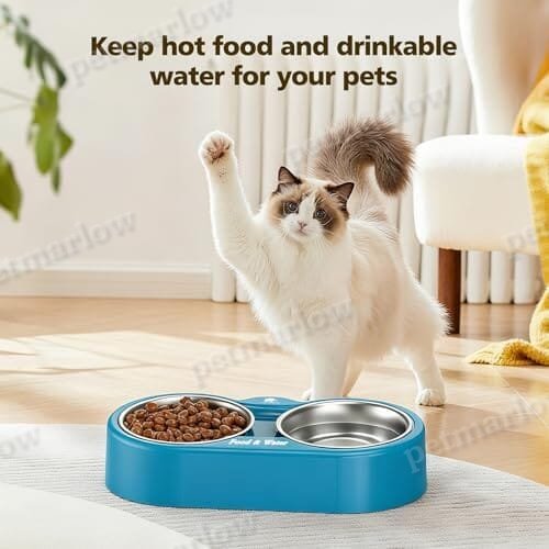 Outdoor Heated Dog Bowl Provides Drinkable Water & Food in Winter – view 6