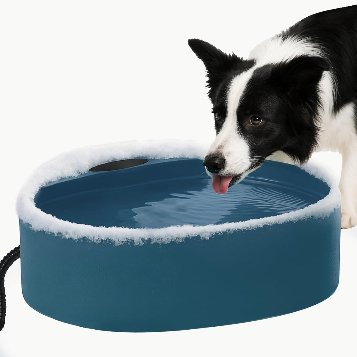 Outdoor Heated Dog Bowl with Chew Resistant Power Cord – Blue
