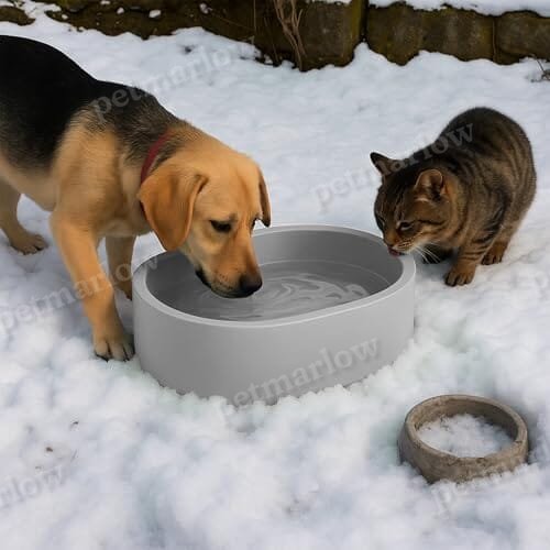 Outdoor Heated Dog Bowl with Chew Resistant Power Cord – view 4