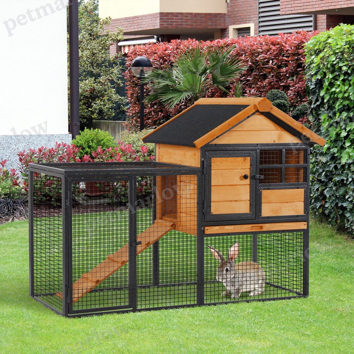 Outdoor Rabbit Cage with Elevated Design and Slide-Out Tray – view 3