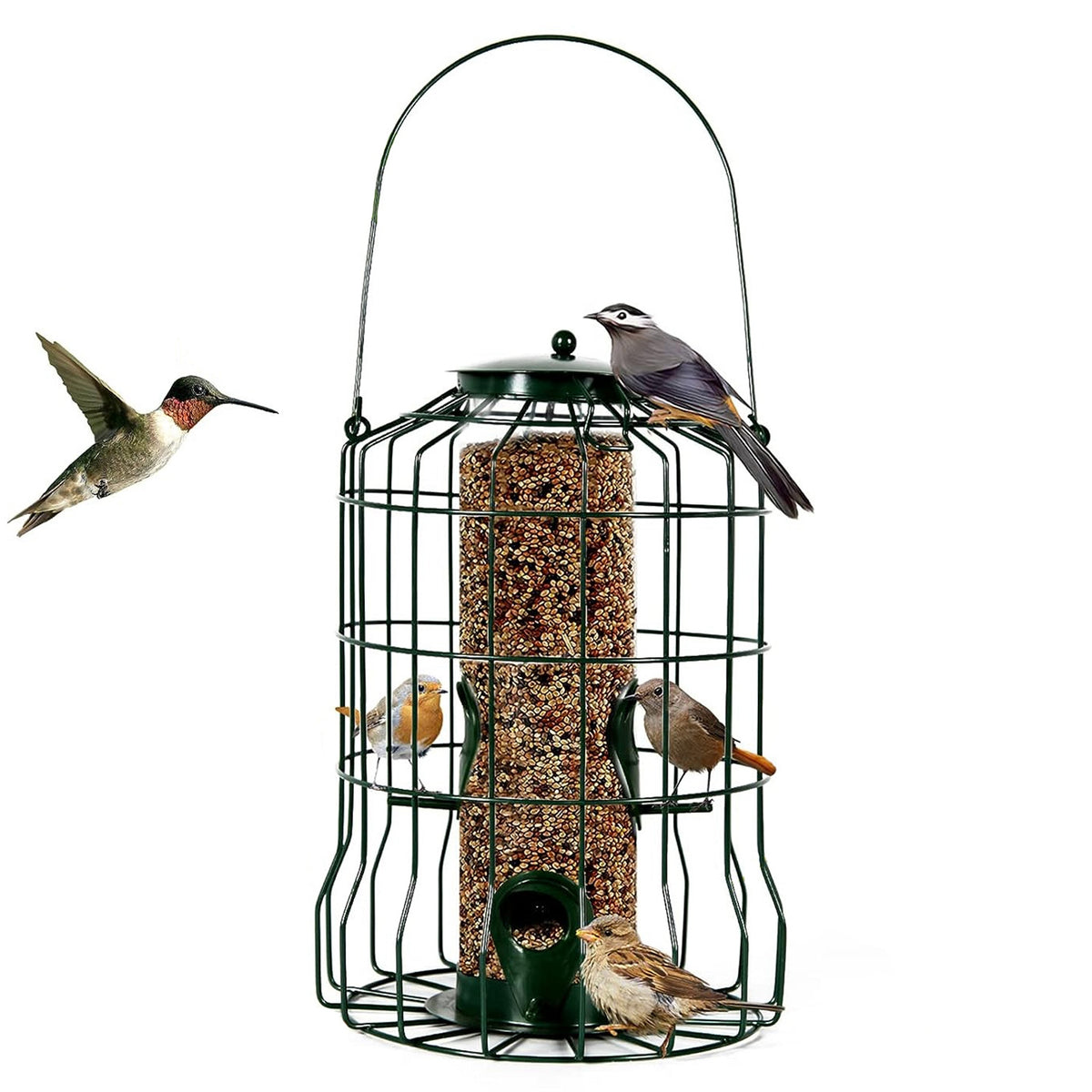 Outdoor Squirrel-Proof Bird Feeder for Small Songbirds
