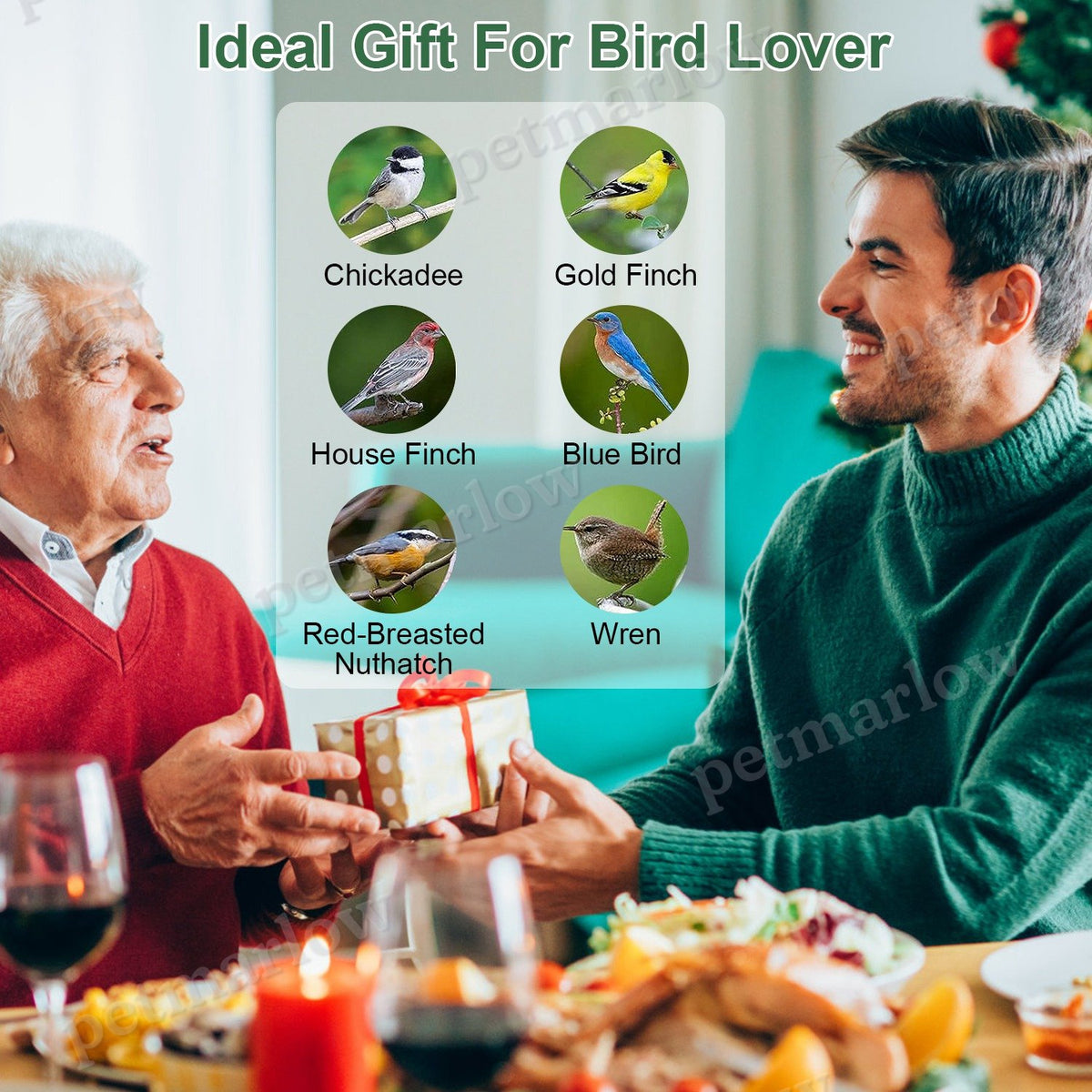 Outdoor Squirrel-Proof Bird Feeder for Small Songbirds – view 3