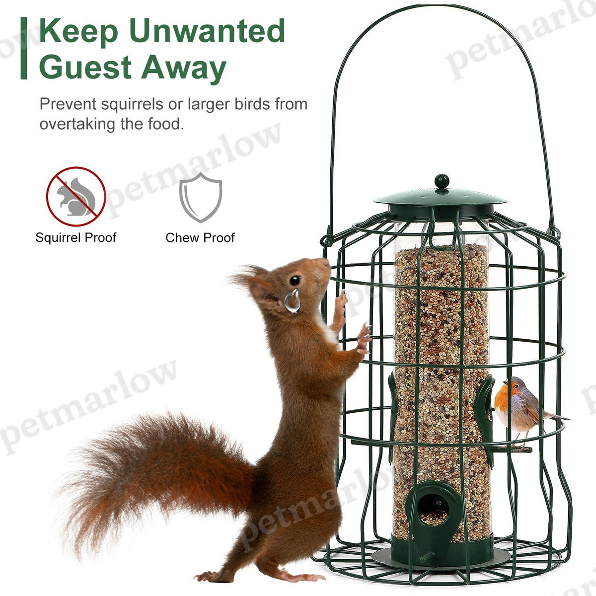 Outdoor Squirrel-Proof Bird Feeder for Small Songbirds – view 6