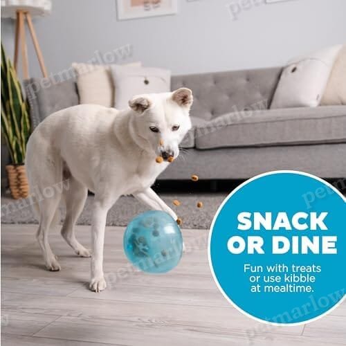 Outward Hound Snoop Interactive Treat Dispensing Dog Toy – view 2