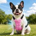 PCM & Waterproof Pet Cooling Vest (Adjustable Straps & Quick-Release Buckles) – Pink / L+L Medium/Large Pets