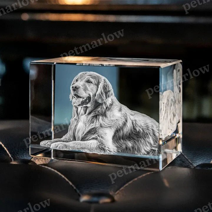 Personalised 2D/3D Crystal Photo Lamp with Laser Engraving – view 2