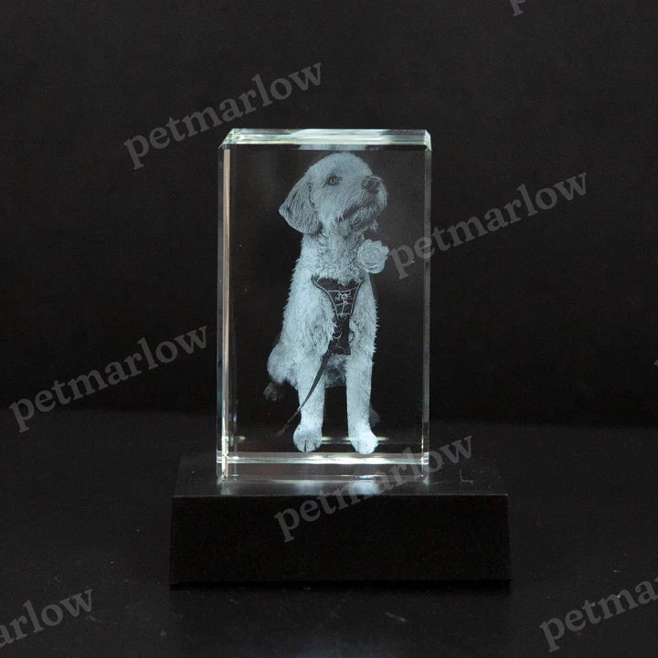 Personalised 2D/3D Crystal Photo Lamp with Laser Engraving – view 3