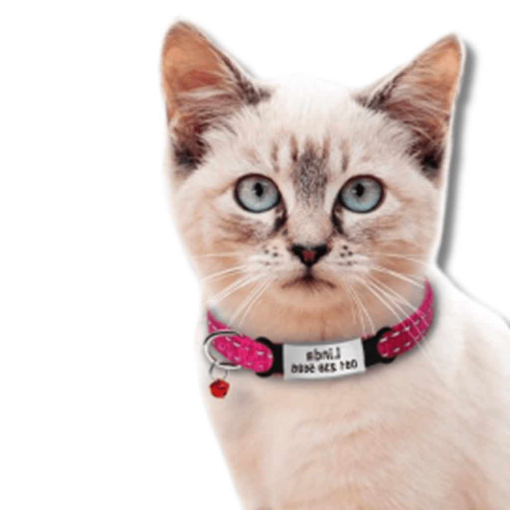 Personalized Engraved Cat Collars