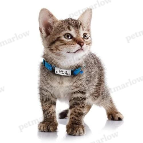 Personalized Engraved Cat Collars – view 6