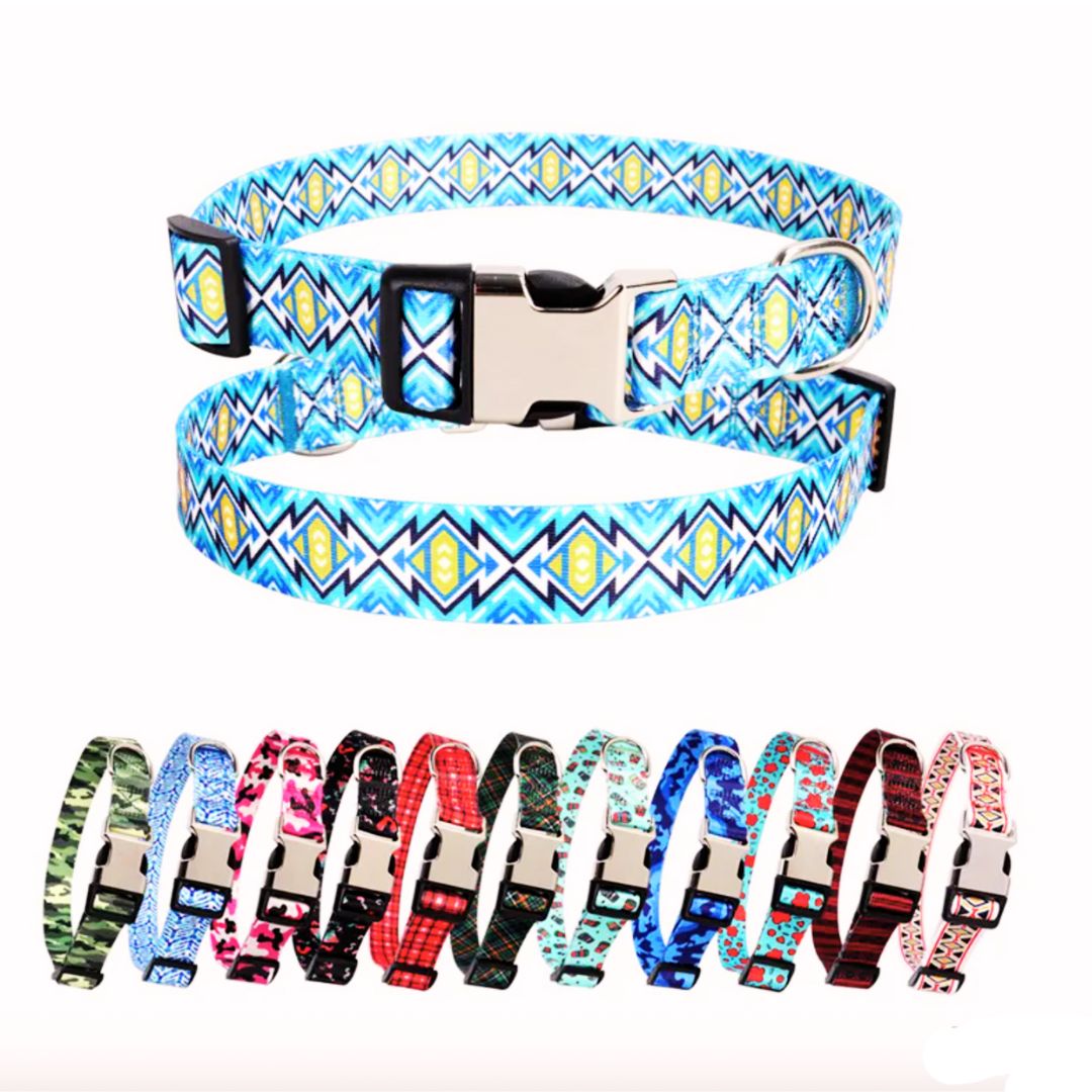 Custom Engraved Dog Collar with Metal Buckle
