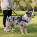 Personalized Reflective No-Pull Dog Harness with Custom Name Patch – Black / L