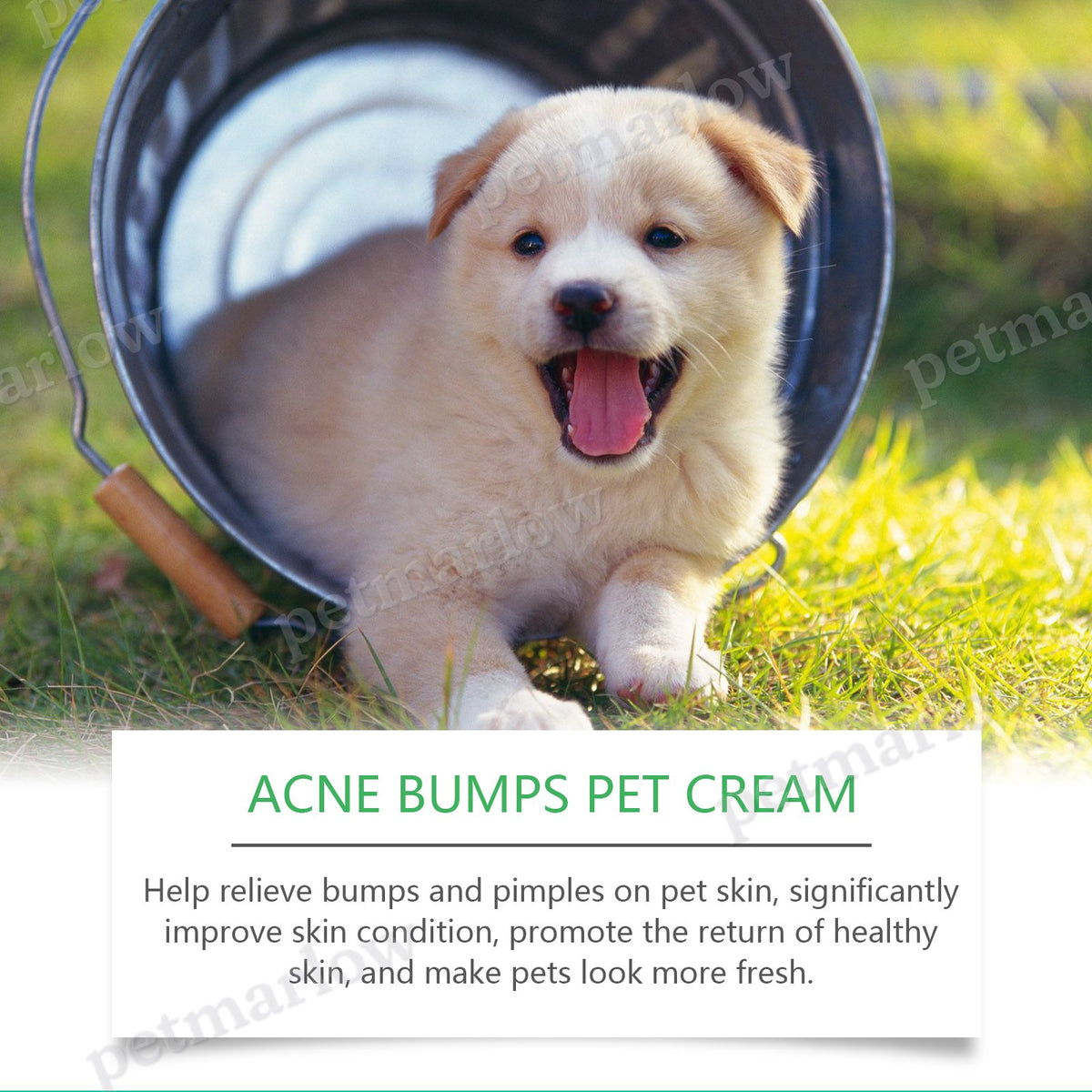 Pet Acne & Bumps Skin Cream for Dogs & Cats – view 2