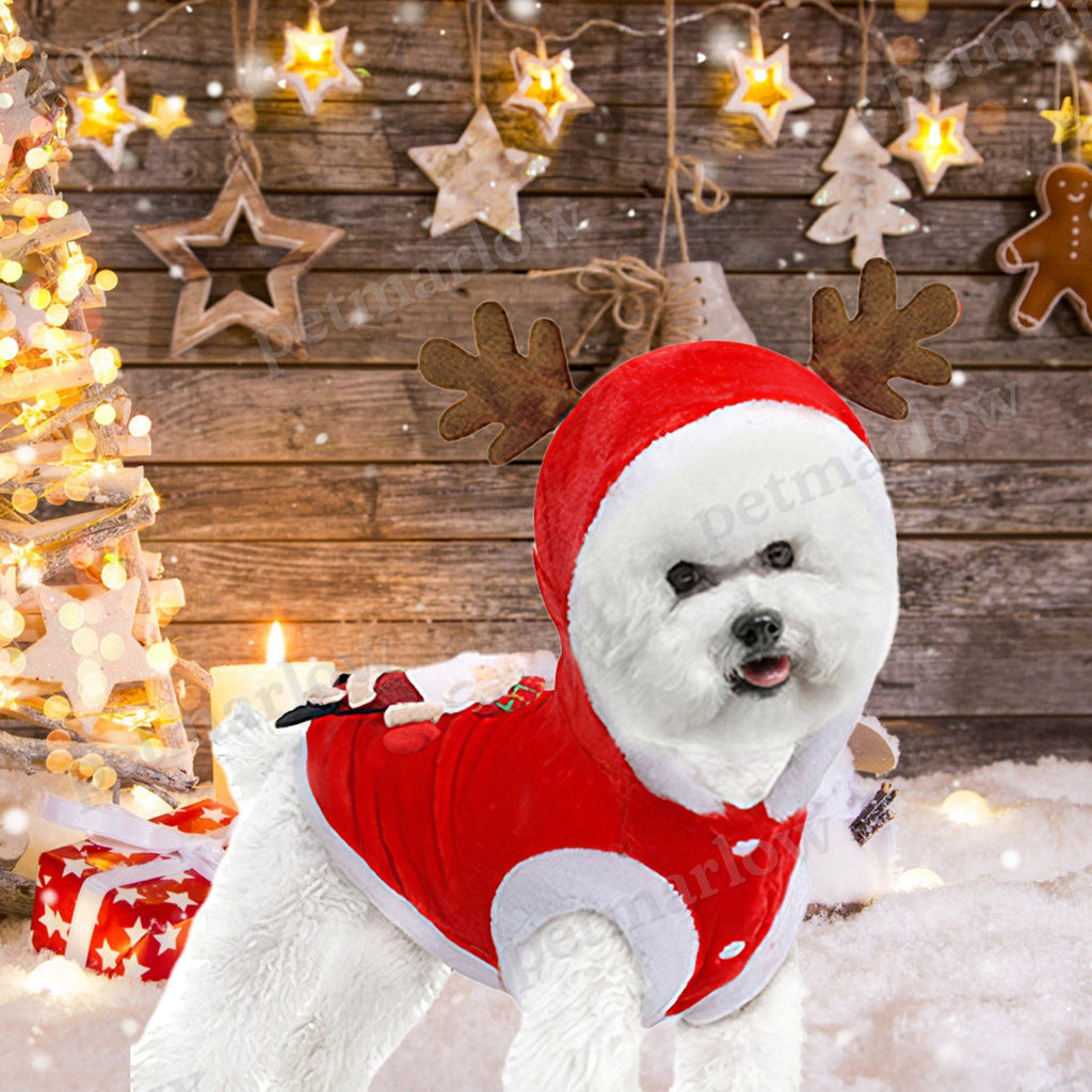 Pet Christmas Clothes Santa Claus Costume for Dogs and Cats – view 4