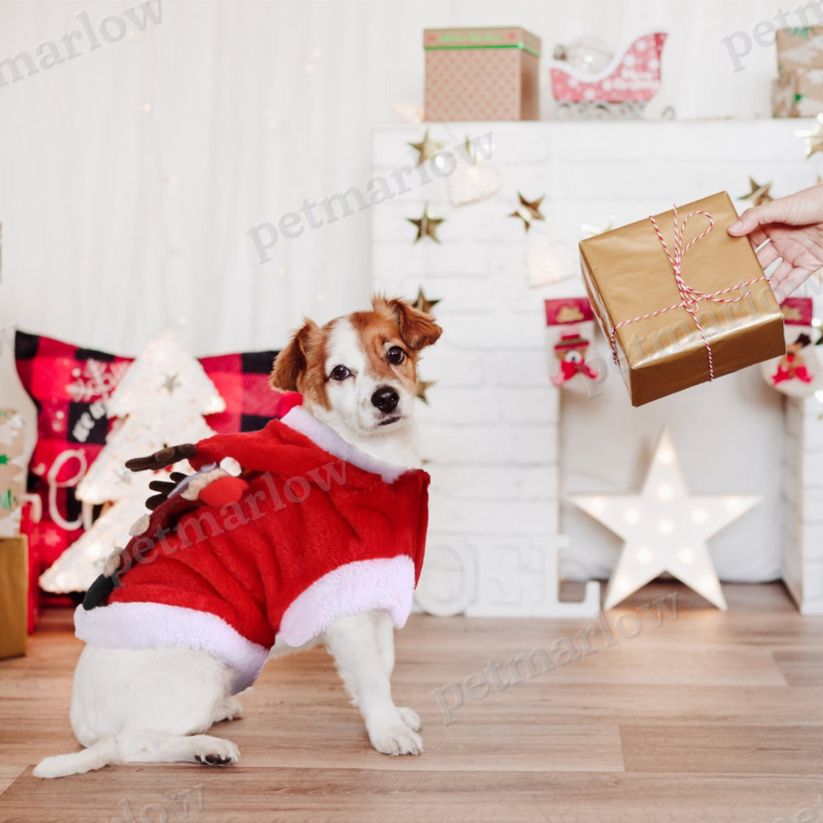 Pet Christmas Clothes Santa Claus Costume for Dogs and Cats – view 5