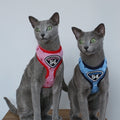 Petmarlow Adventure Harness Leash - US Designed Stock