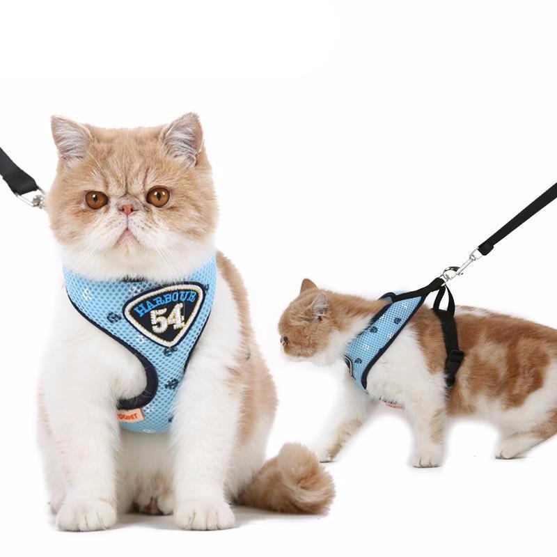 Petmarlow Adventure Harness Leash - US Designed Stock – view 8