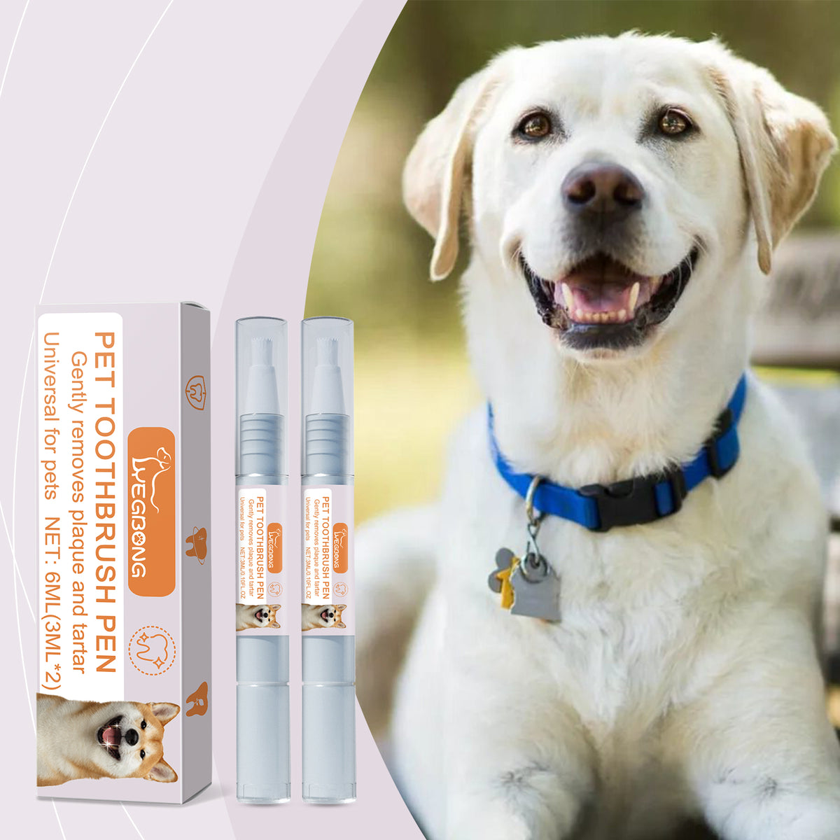 Pet Dental Toothbrush Pen for Dogs and Cats