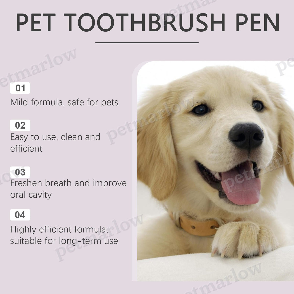 Pet Dental Toothbrush Pen for Dogs and Cats – view 3